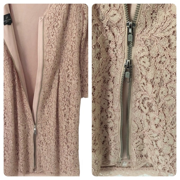 Adrianna Papell Pink Lace Long Sleeve Sheath Mini Dress sz 6 NEW romantic - Picture 11 of 13